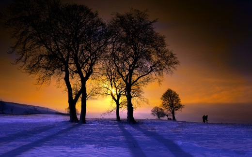 713696 (a): :2560x1600